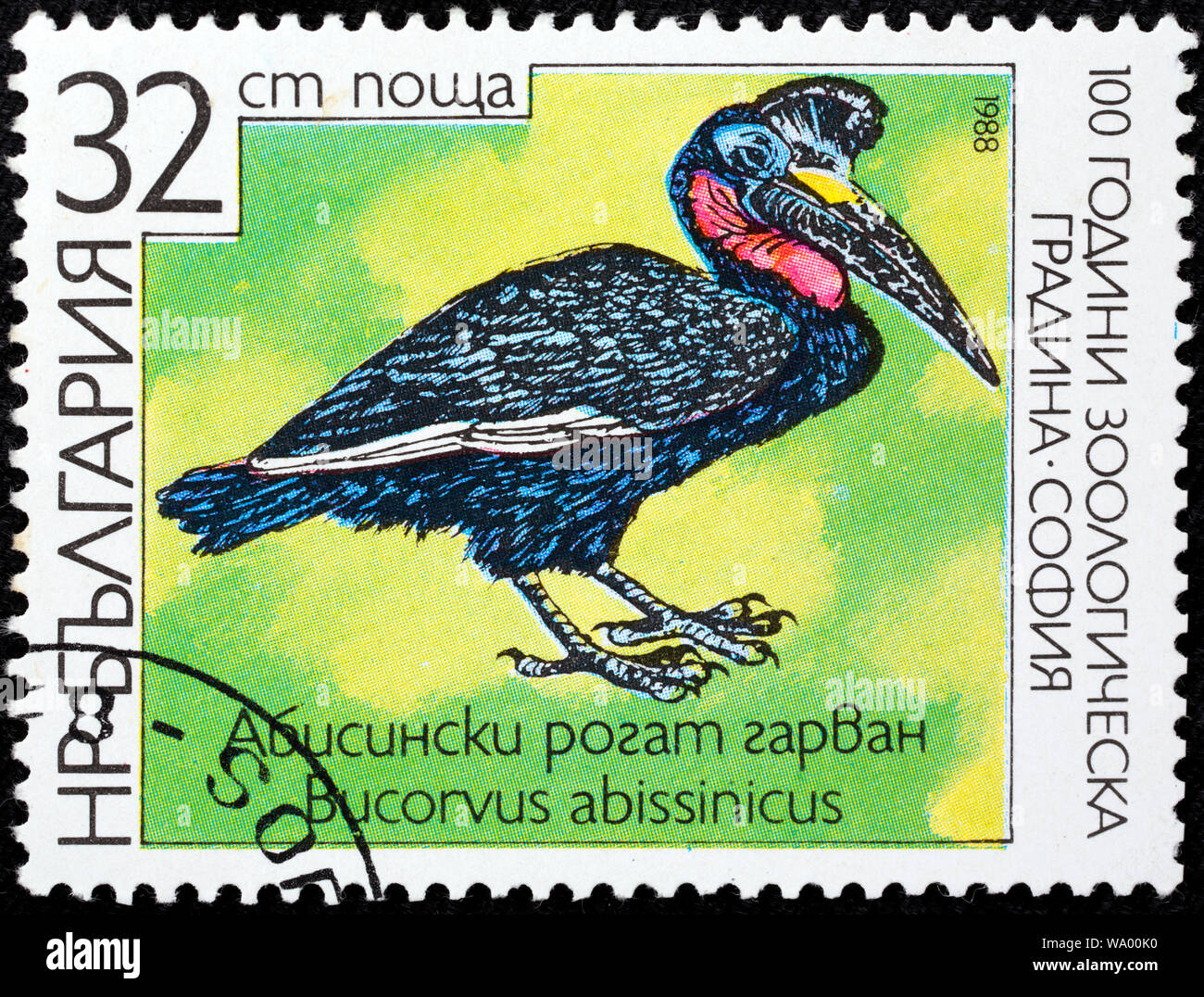 Abyssinian Ground-hornbill, Northern Ground-hornbill, Bucorvus abyssinicus, postage stamp, Bulgaria, 1988 Stock Photo