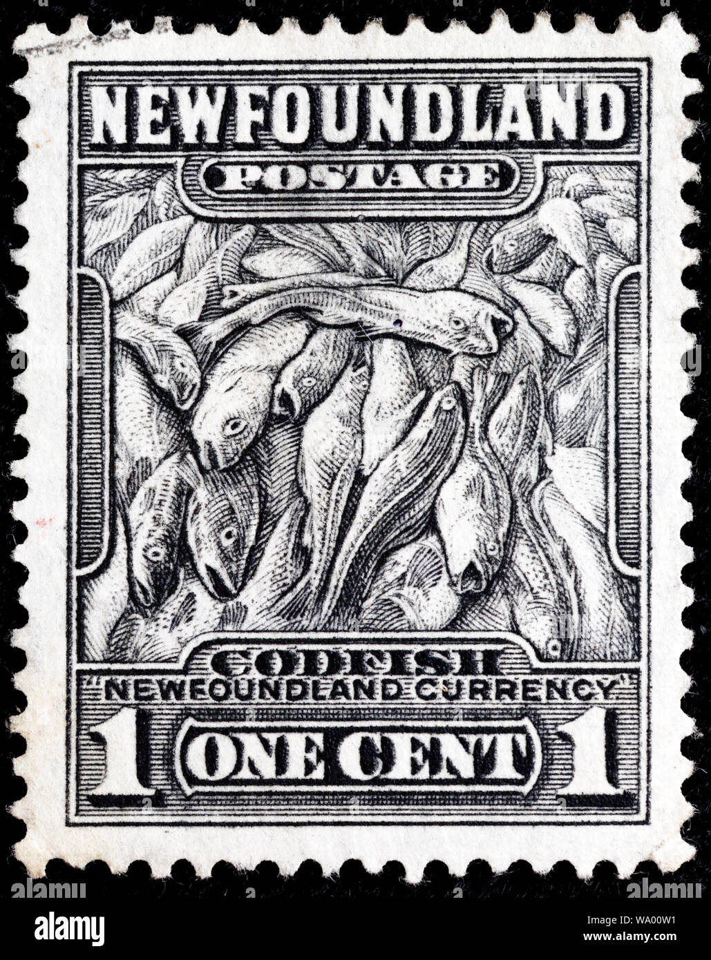Atlantic Cod, Gadus morrhua, postage stamp, Newfoundland, 1932 Stock Photo