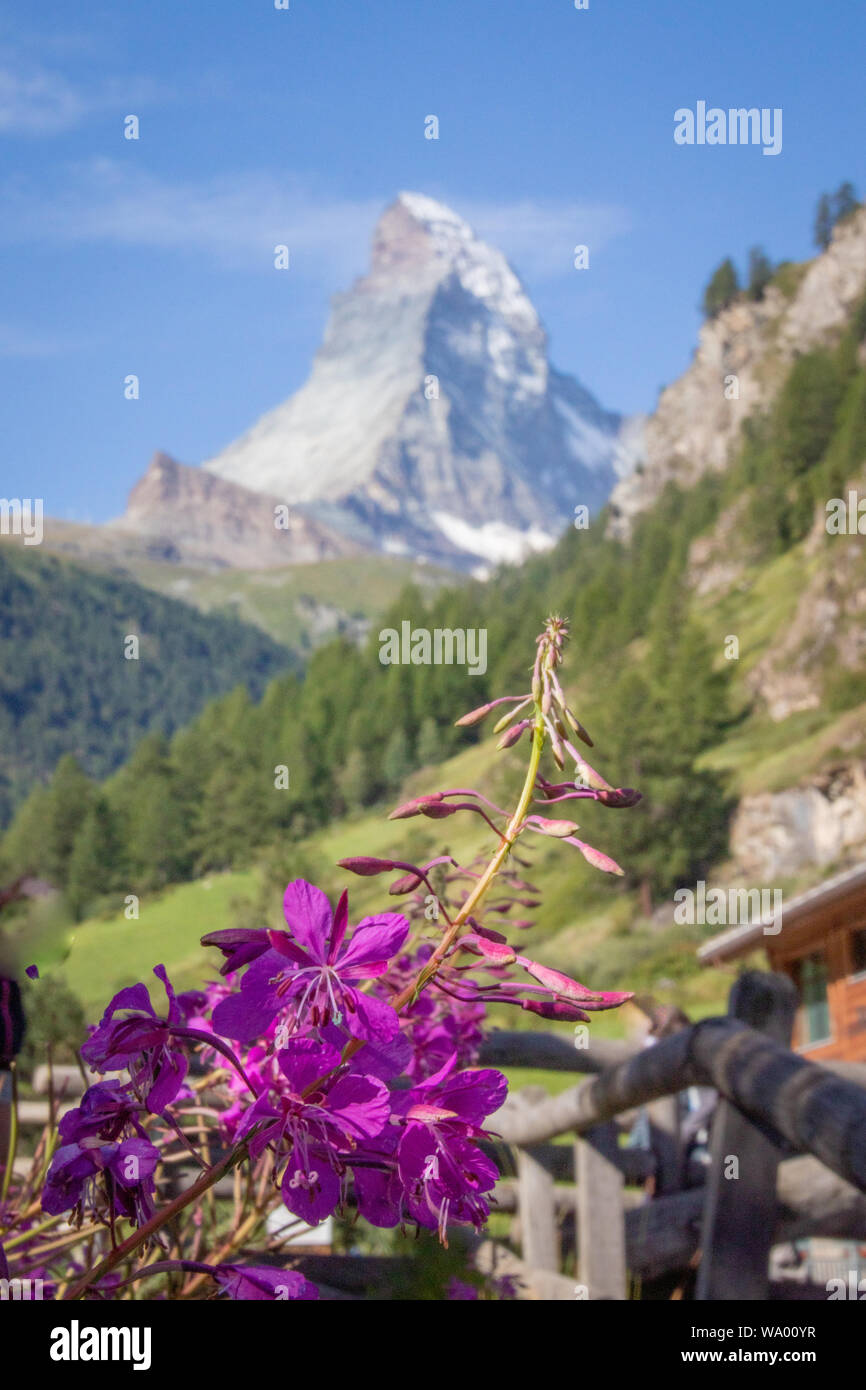 Pictures of a Zermatt town and mountain at sunny day Stock Photo