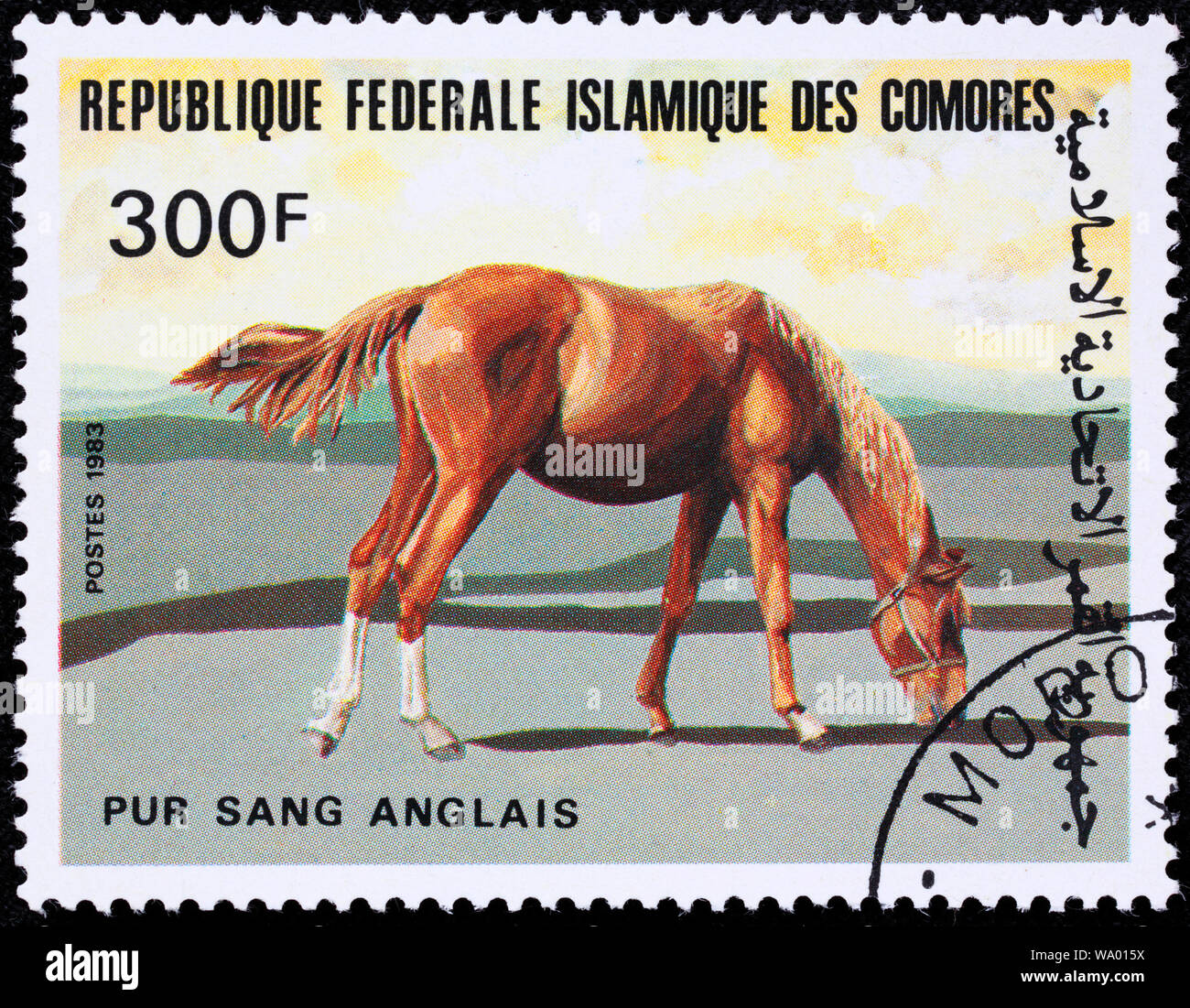 Thoroughbred horse, postage stamp, Comoros, 1983 Stock Photo