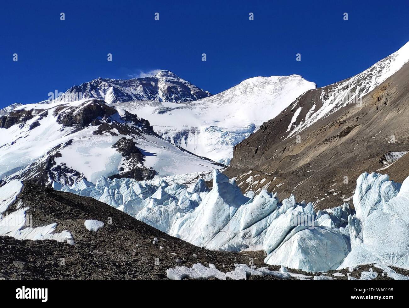(190816) -- BEIJING, Aug. 16, 2019 (Xinhua) -- Photo taken on May 21, 2019 shows glacier on the foot of Mount Qomolangma in southwest China's Tibet Autonomous Region. Tibet has seen significant progress in restoring biodiversity, with a forest coverage rate of 12.14 percent, said a white paper released in March this year by China's State Council Information Office. The population of Tibetan antelopes has grown from 60,000 in the 1990s to more than 200,000 and Tibetan wild donkeys have increased in numbers from 50,000 to 80,000, noted the document, titled "Democratic Reform in Tibet -- Sixty Stock Photo