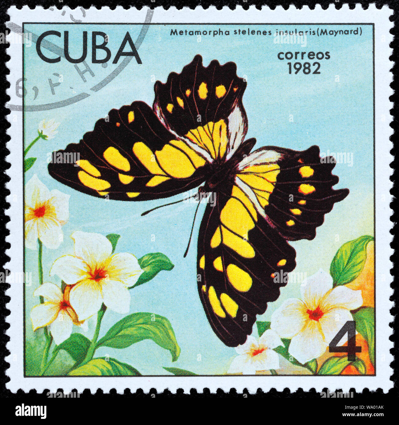 Malachite, Metamorpha stelenes insularis, Siproeta stelenes, postage stamp, Cuba, 1982 Stock Photo