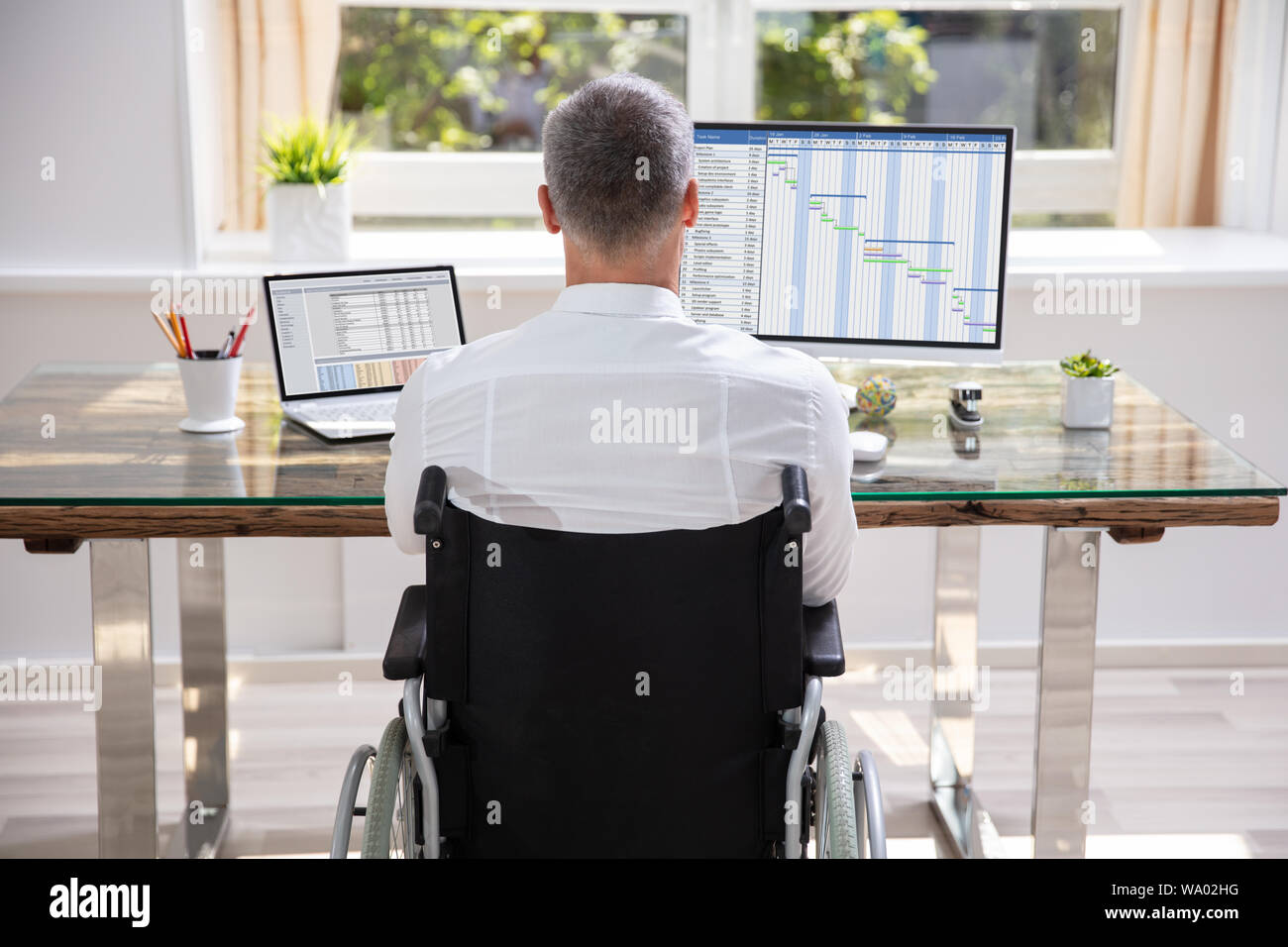 Handicapped Businessman Sitting On Wheelchair And Using Computer In