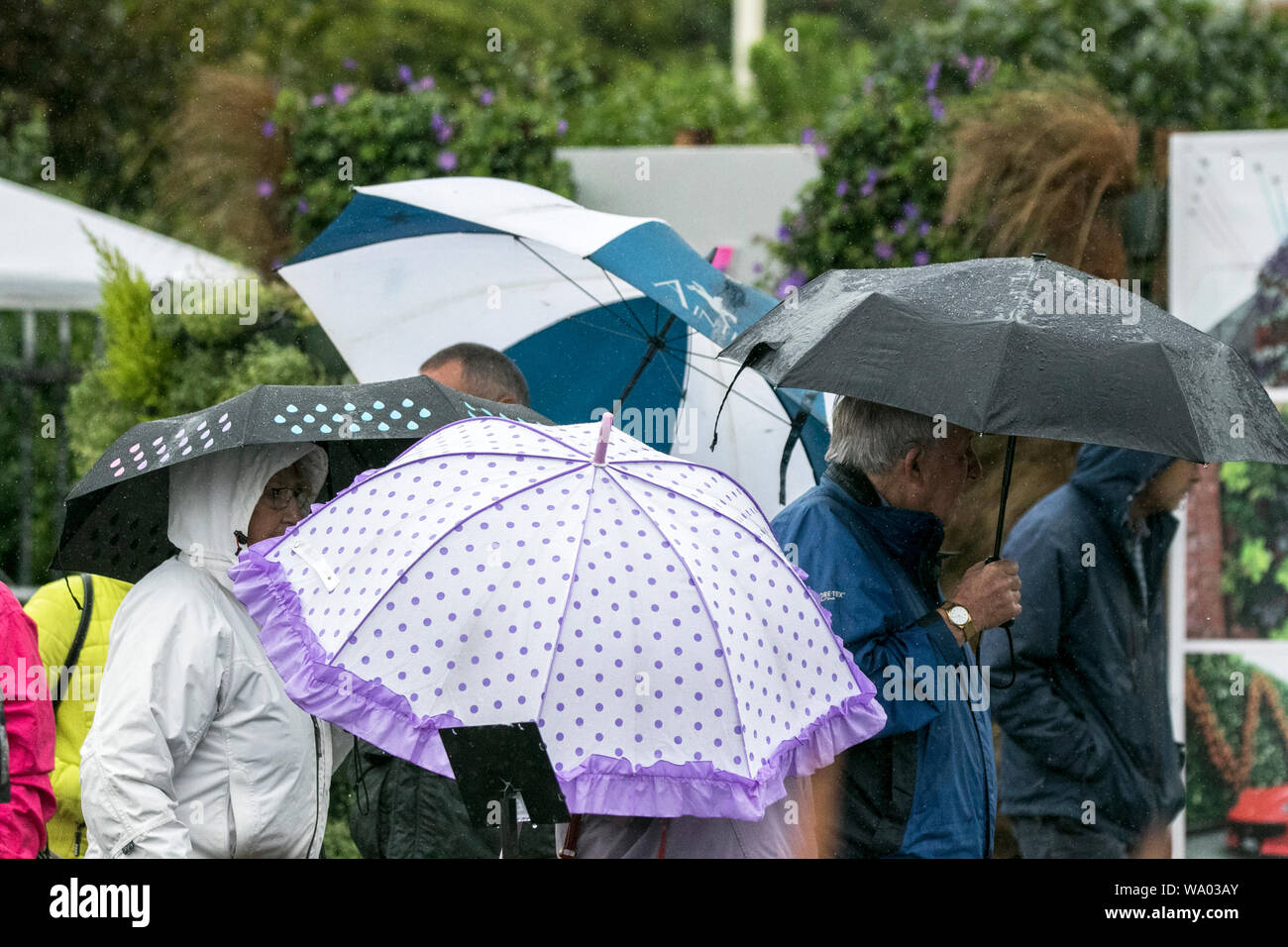 Southport, Merseyside, 16th August 2019.  Heavy rain pours down on visitors braving the awful weather as they make their way into the 2019 Southport Flower Show.  THE UK is set to be battered by more than a month's worth of rain today - before the hot weather returns for the Bank Holiday.  Credit: Cernan Elias/Alamy Live News Stock Photo