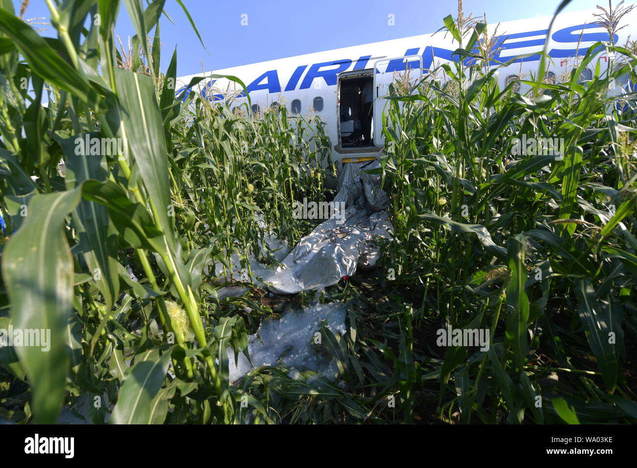 Moscow oblast. The Airbus A321 airline company `Ural airlines`, which ...