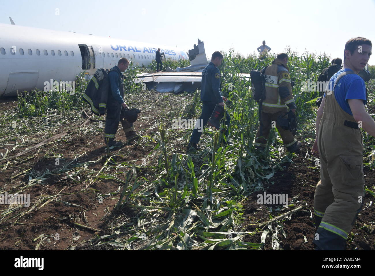 Moscow oblast. The Airbus A321 airline company `Ural airlines`, which ...
