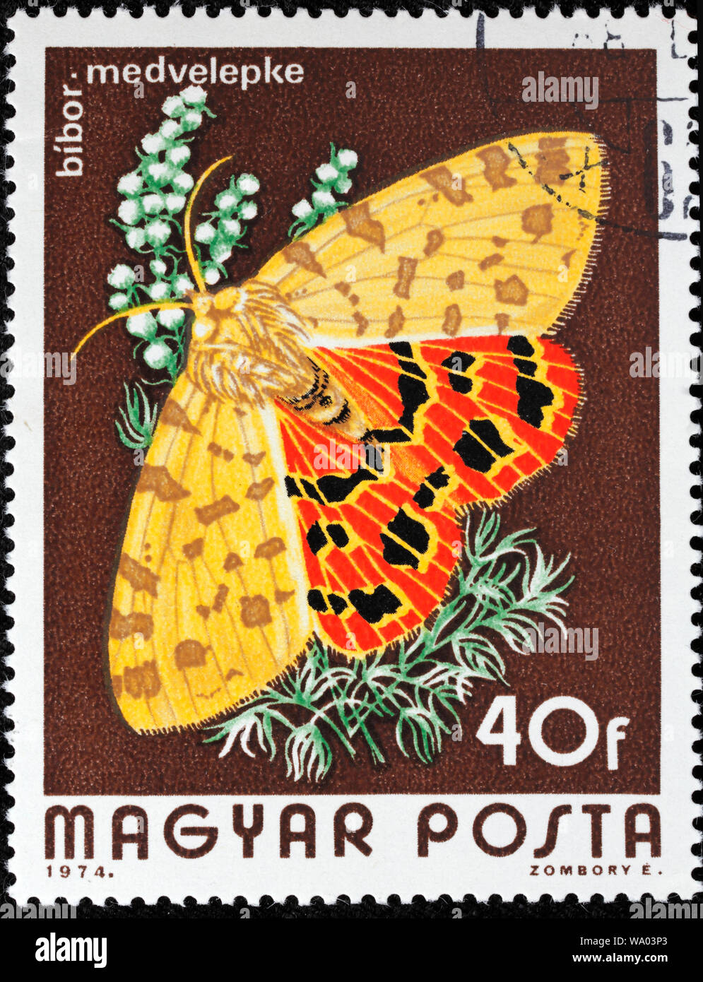 Purple Tiger, Rhyparia purpurata, postage stamp, Hungary, 1974 Stock Photo