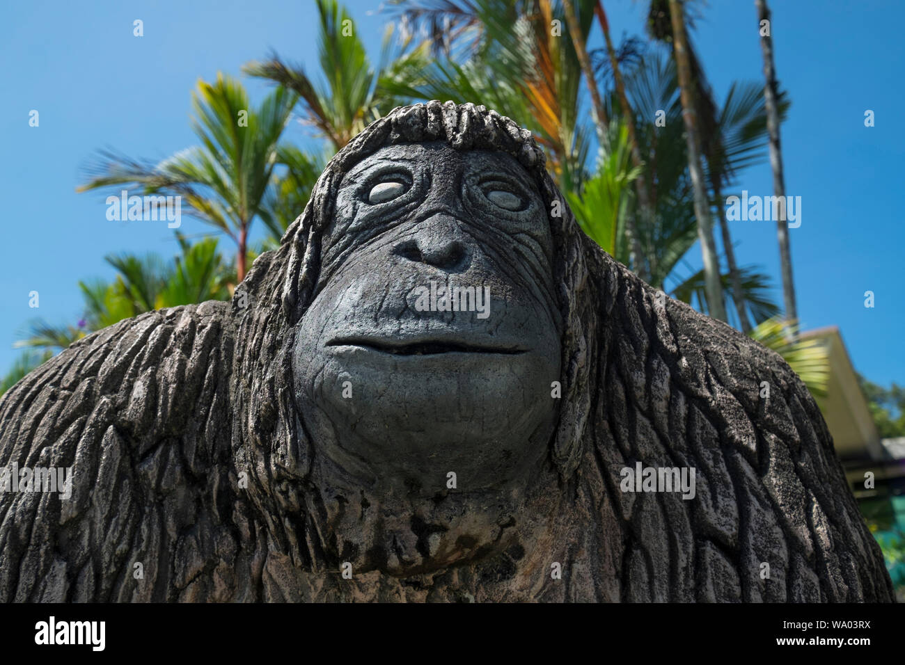 A concrete orangutan sculpture at the entrance to the Semenggoh Nature Reserve in Kuching, Malaysia. Stock Photo