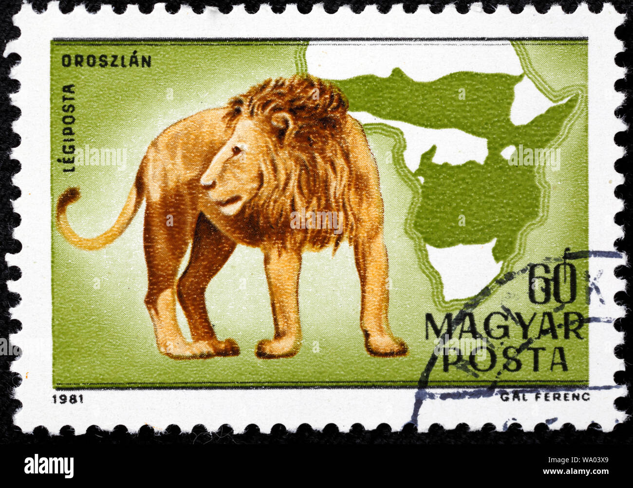 Lion, Panthera leo, postage stamp, Hungary, 1981 Stock Photo