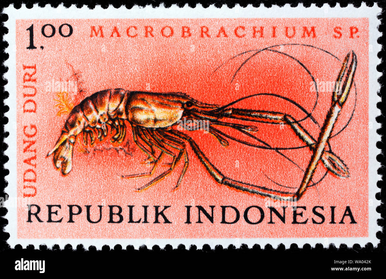 Monkey River Prawn, Macrobrachium lar, postage stamp, Indonesia, 1963 Stock Photo