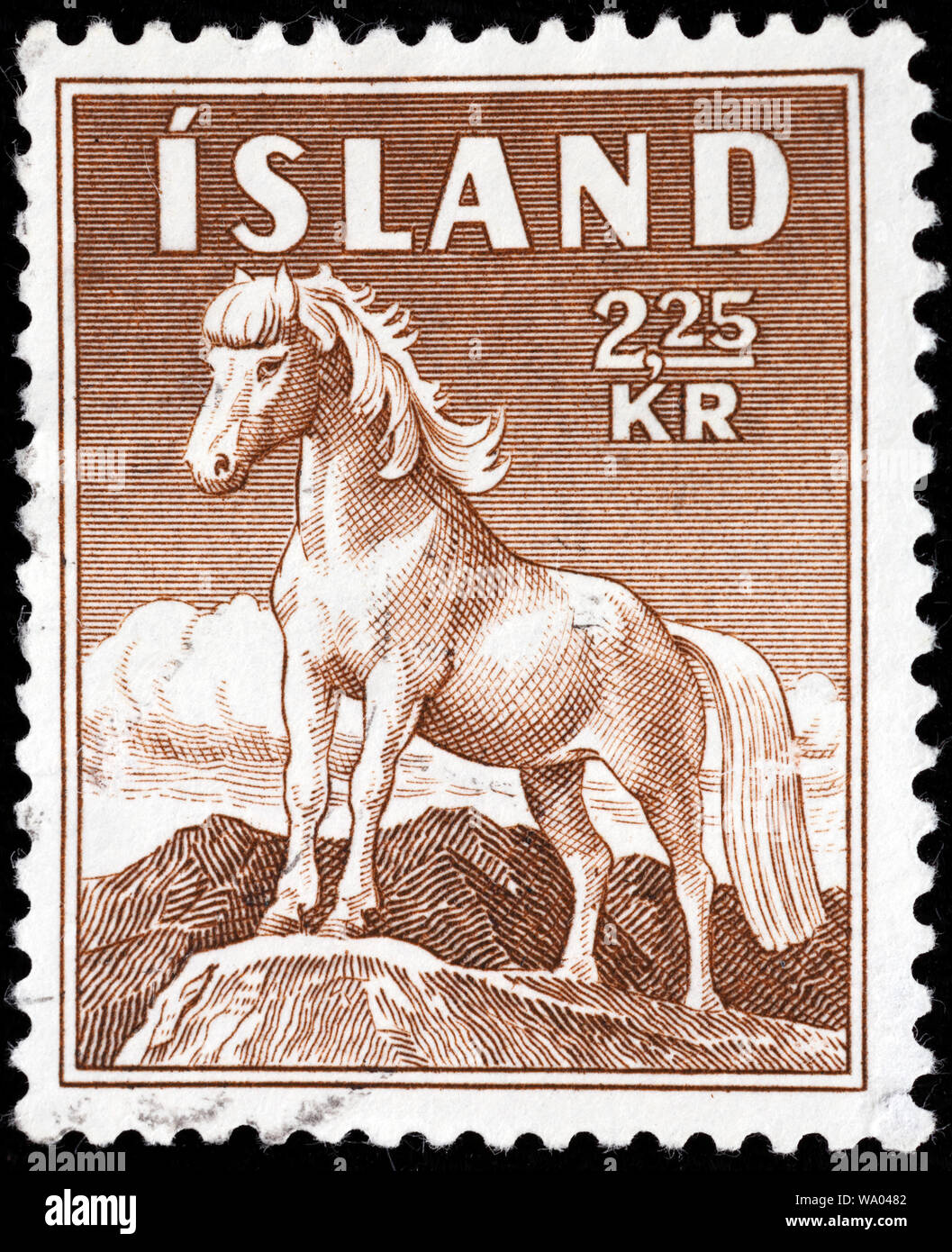Icelandic horse, Equus ferus caballus, postage stamp, Iceland, 1958 Stock Photo