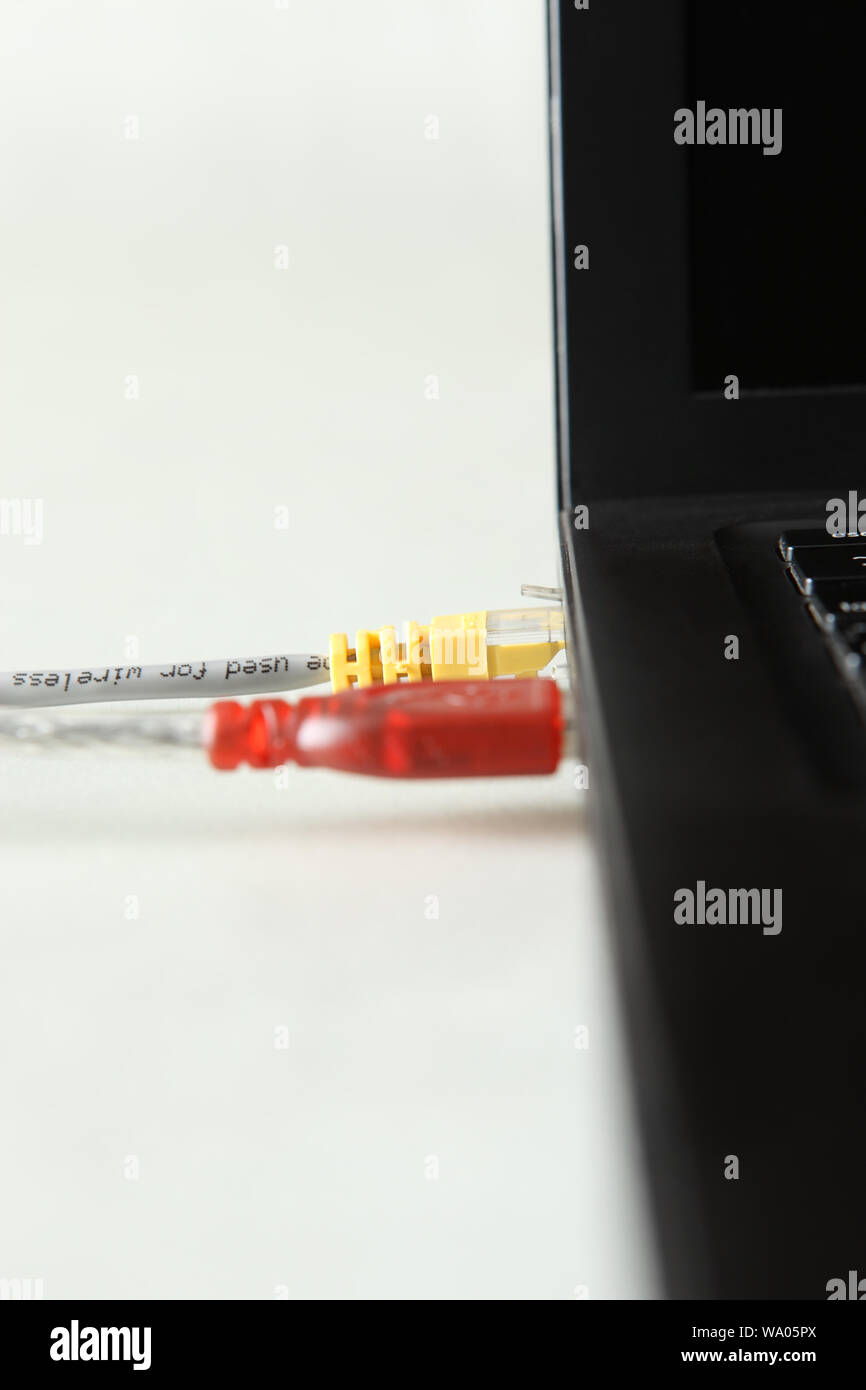 Network cables connected with a laptop Stock Photo