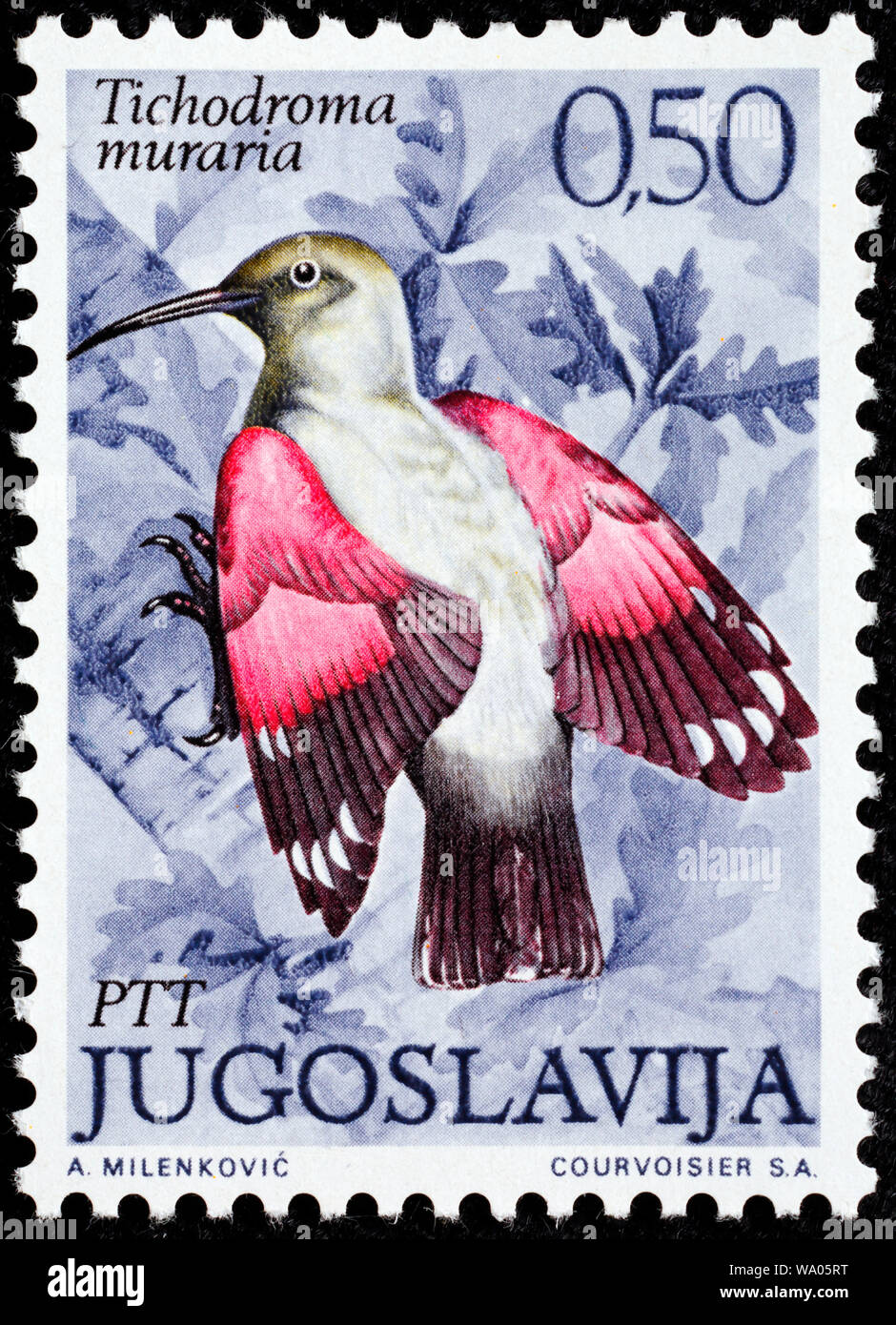 Wallcreeper, Tichodroma muraria, postage stamp, Yugoslavia, 1972 Stock Photo
