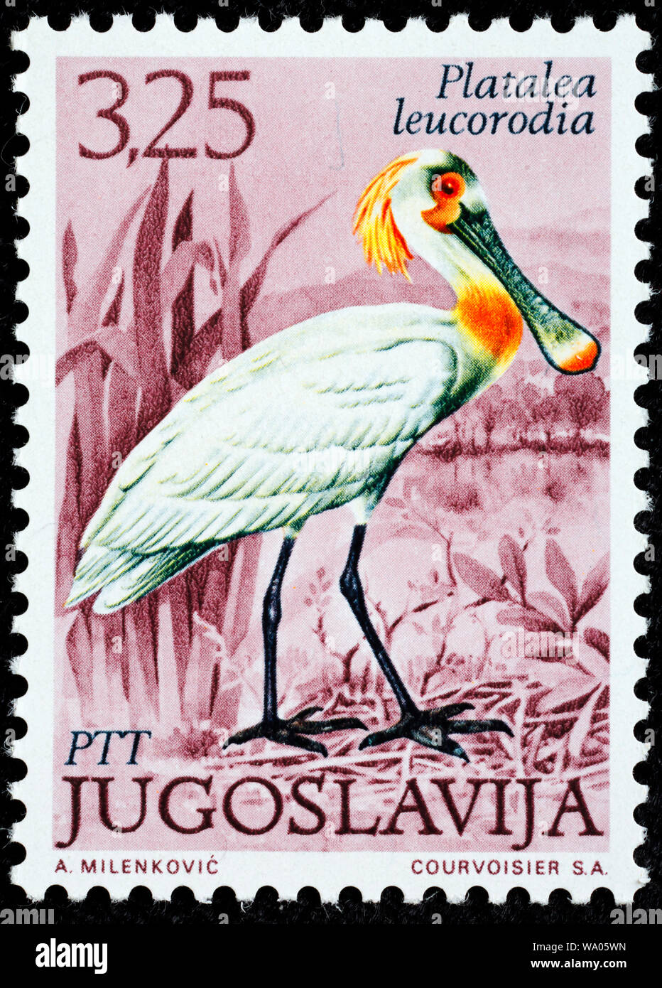 Common Spoonbill, Platalea leucorodia, postage stamp, Yugoslavia, 1972 Stock Photo
