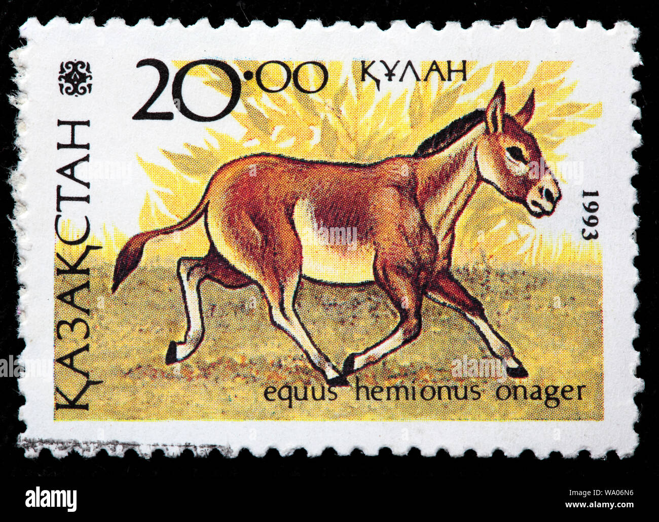 Persian onager, Equus hemionus onager, postage stamp, Kazakhstan, 1993 Stock Photo