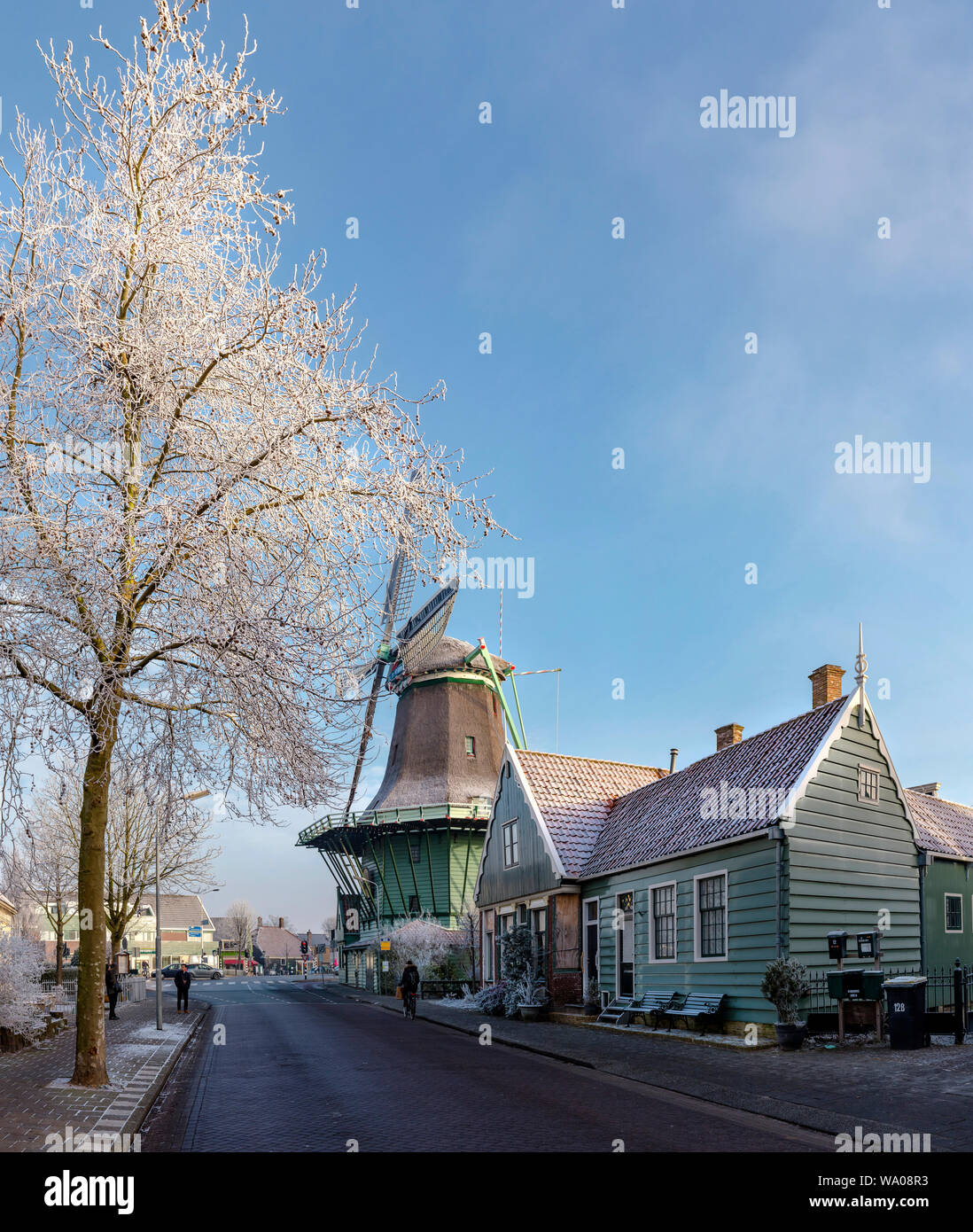 Flour producing windmill called De Bleeke Dood, Zaandijk,  Noord-Holland Netherlands, 30062901 *** Local Caption *** Stock Photo