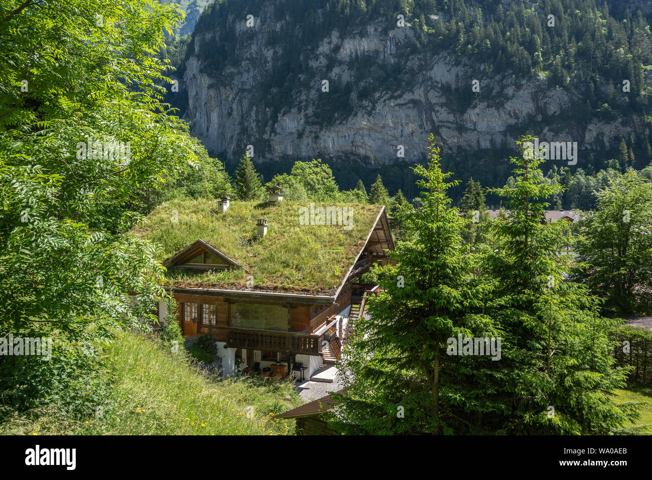 Traditional country house with the use of a grass roof, Lauterbrunnen