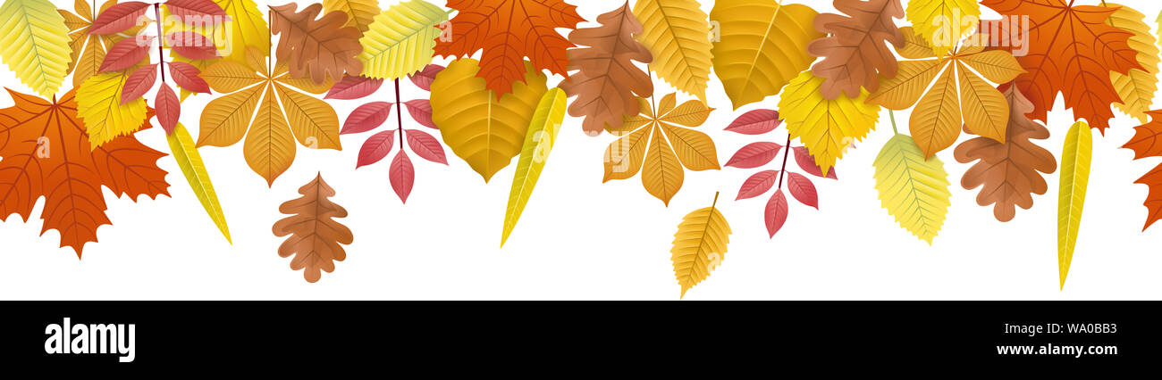 autumn leaves seamless banner background Stock Photo