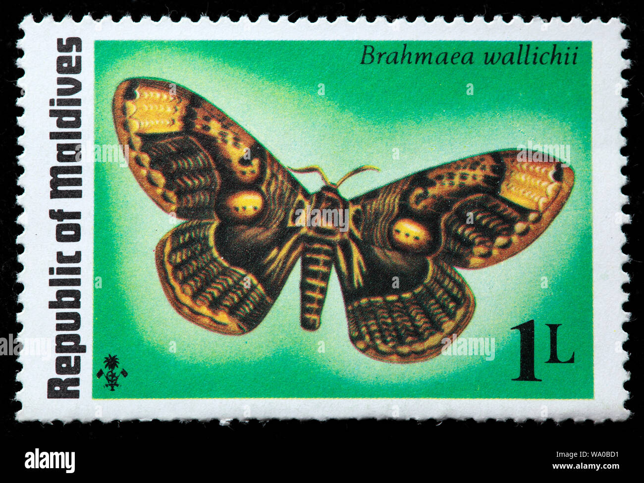Owl Moth, Brahmaea wallichii, postage stamp, Maldives, 1975 Stock Photo