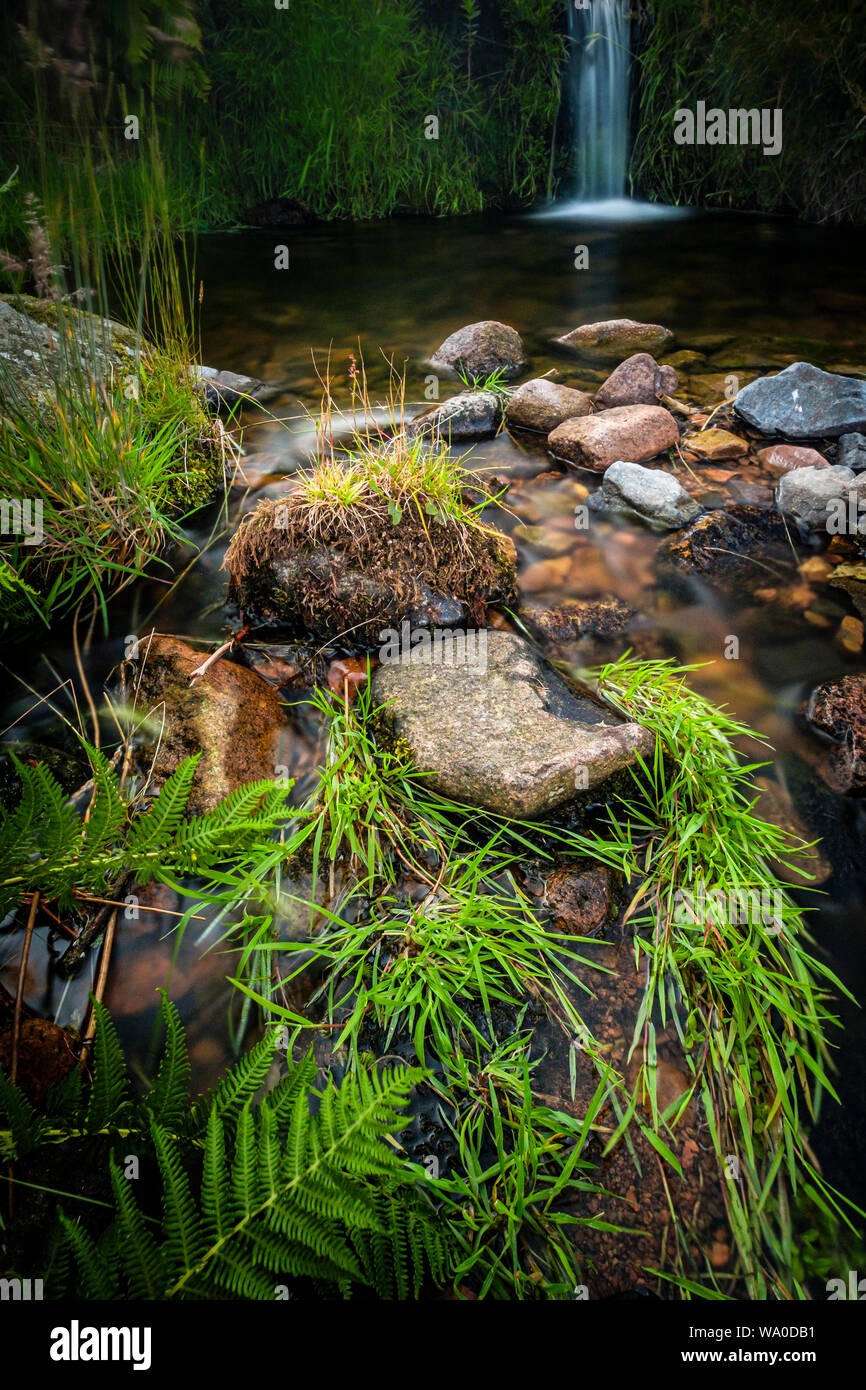 A small waterfall and pool in the Cheviot hills. Stock Photo