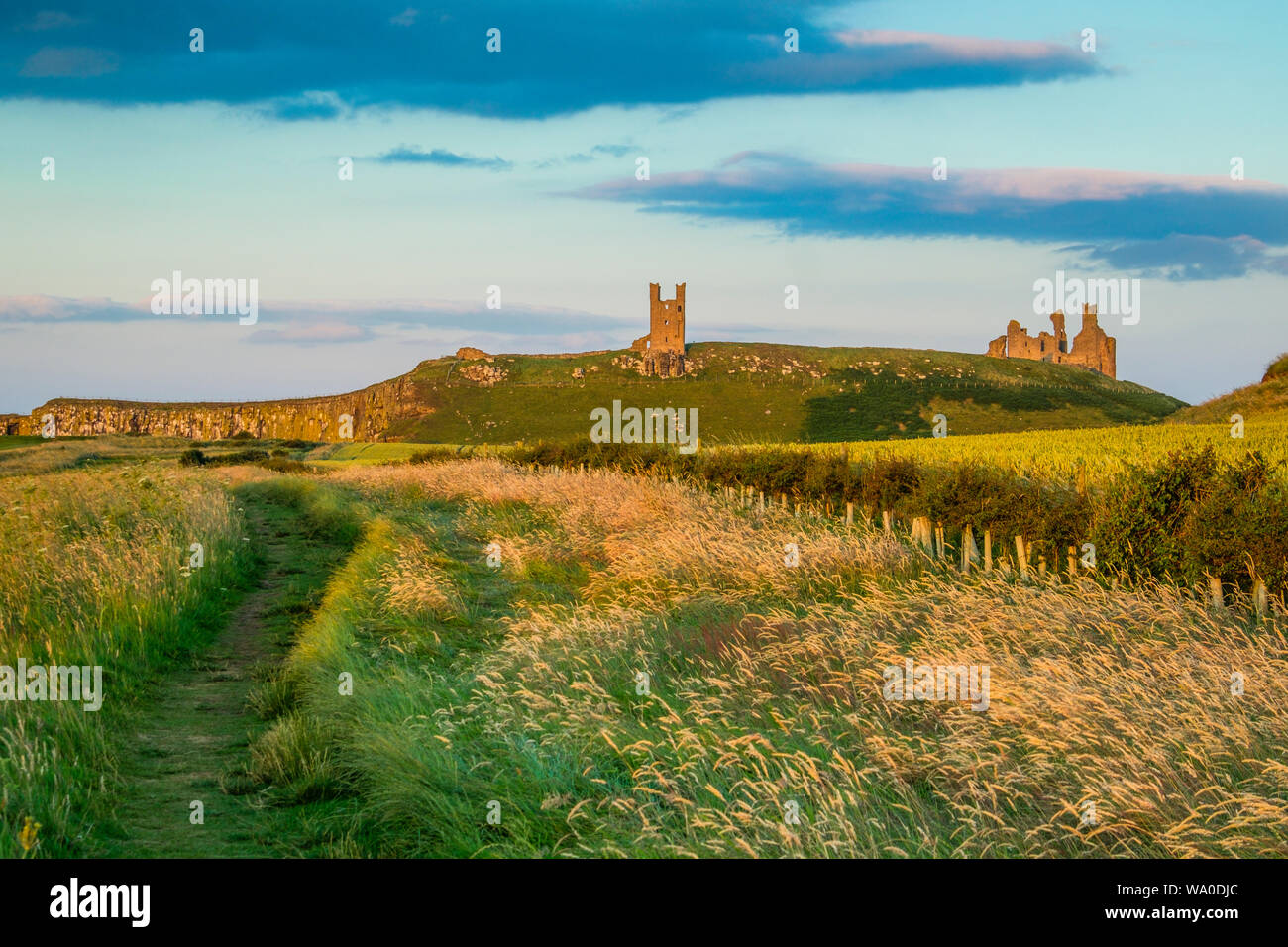 The ruins of Dunstanburgh Castle seen from the north. Stock Photo