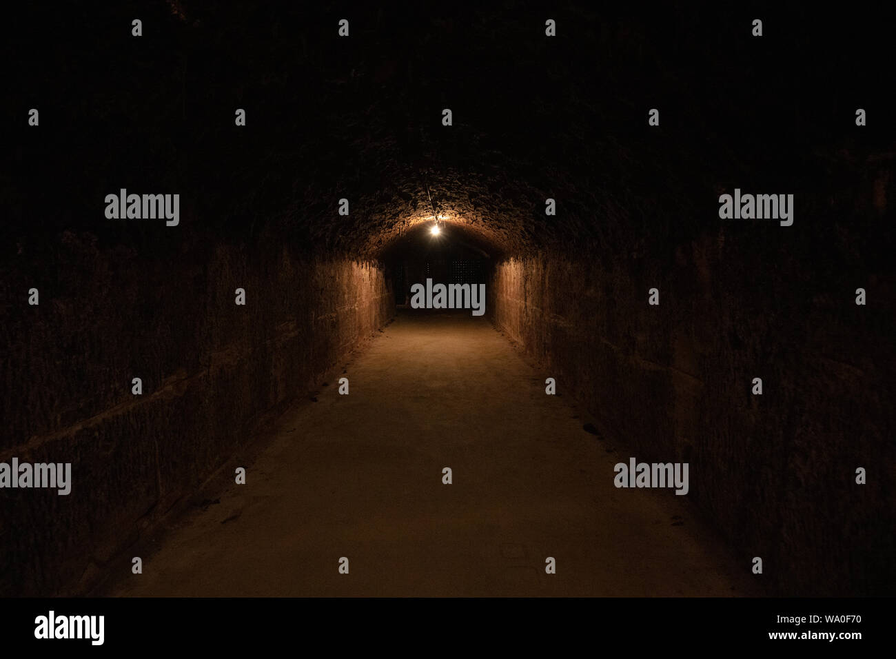 Underground Wine Cellar Stock Photo - Alamy - Underground Wine Cellar Space
