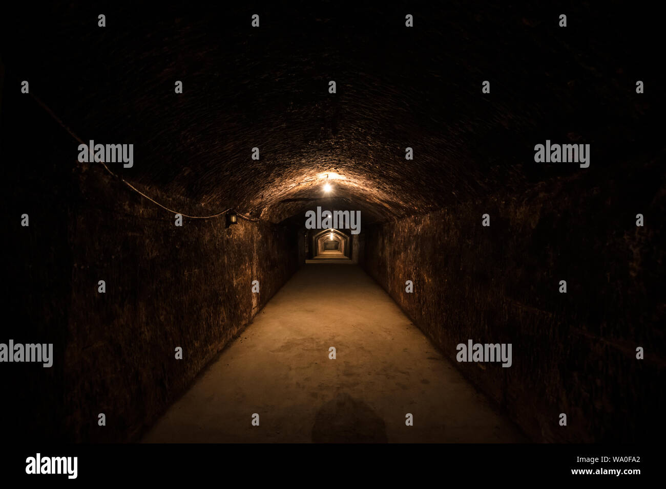 Picture of Underground Wine Cellar Stock Photo - Alamy