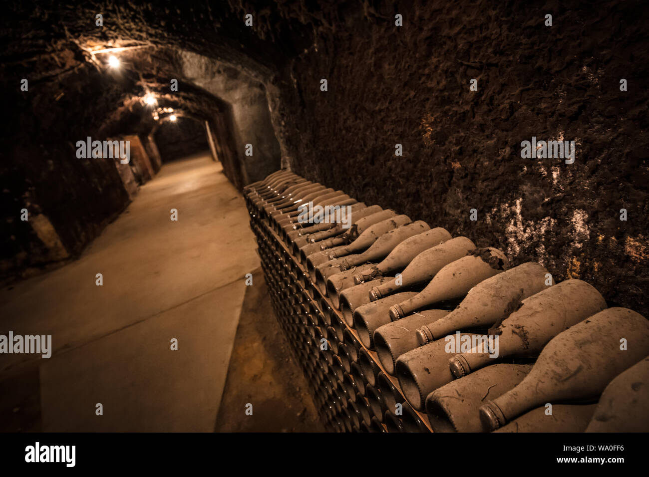 Underground Wine Cellar Stock Photo Alamy