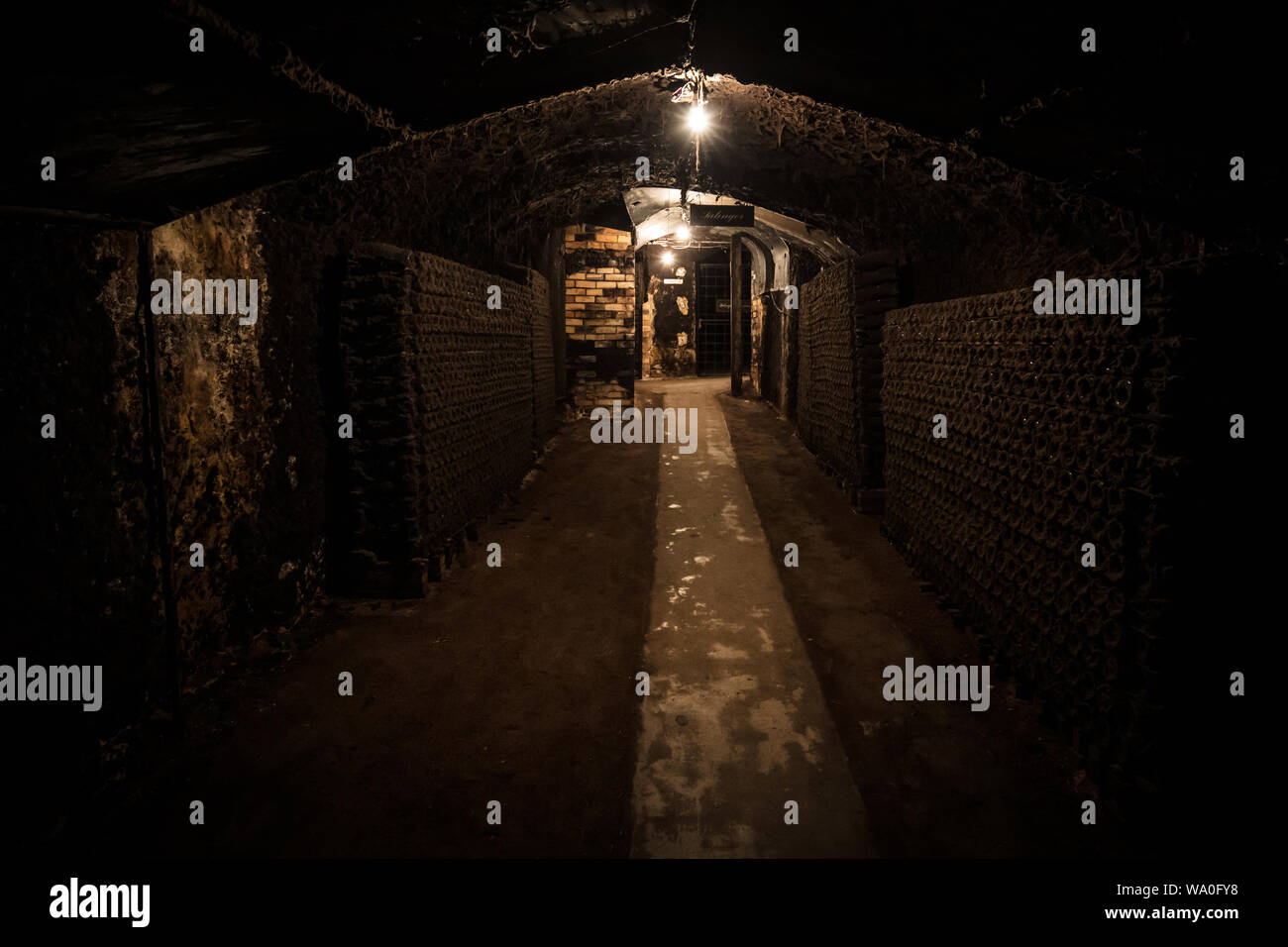 Underground Wine Cellar Stock Photo Alamy