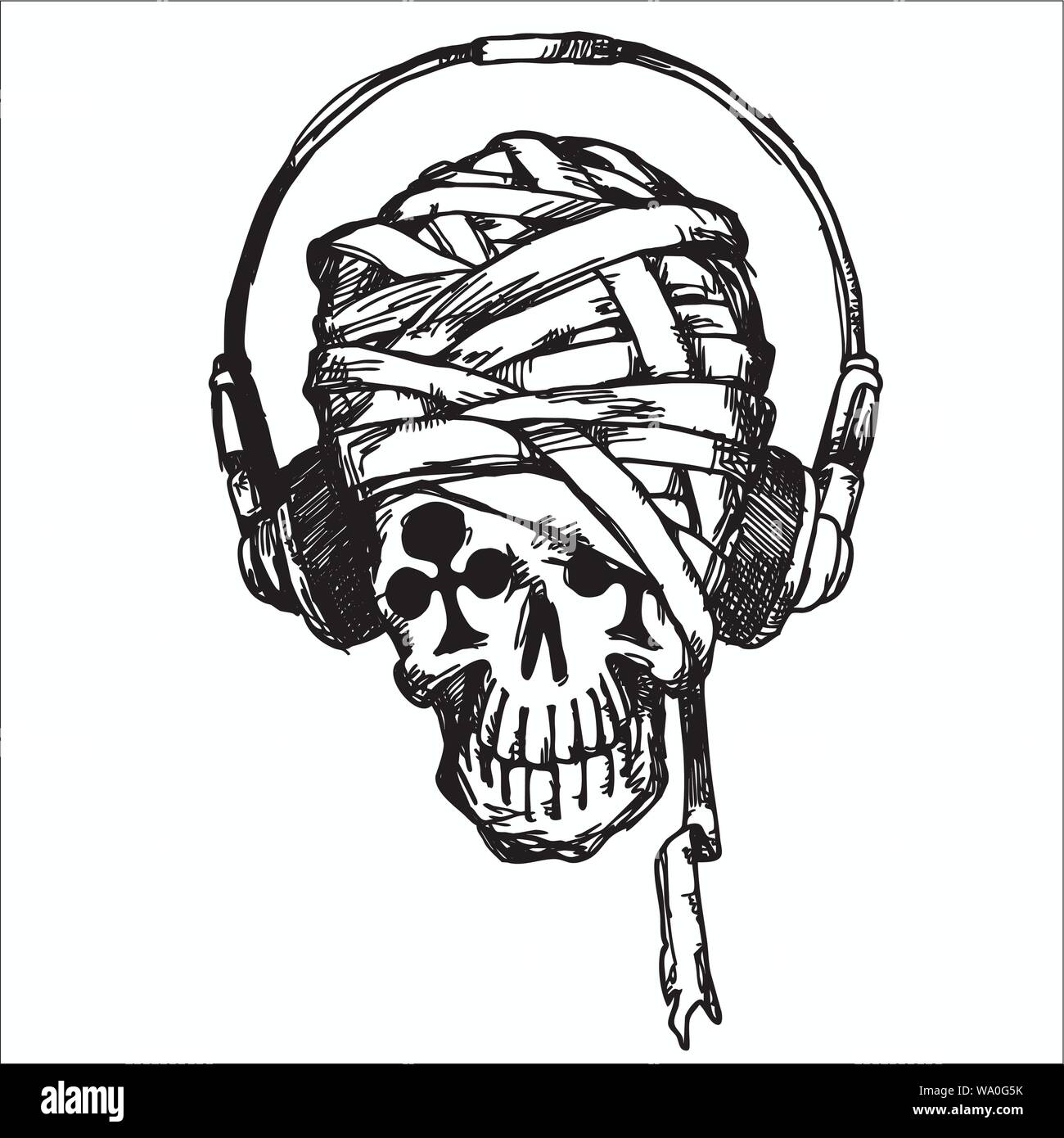 vector illustration of a skull Stock Vector Image & Art - Alamy