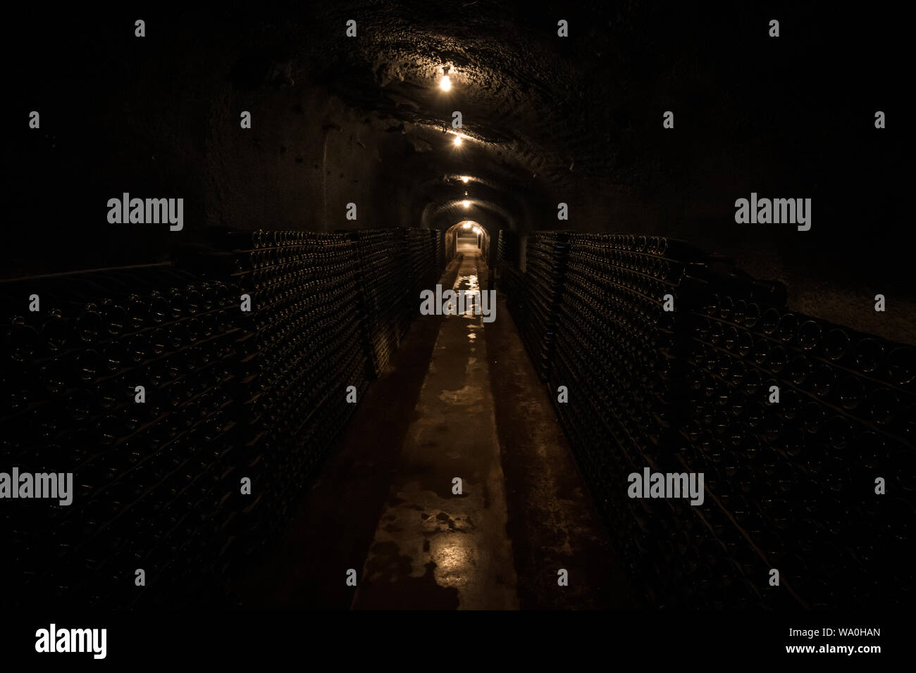 Underground Wine Cellar Stock Photo Alamy