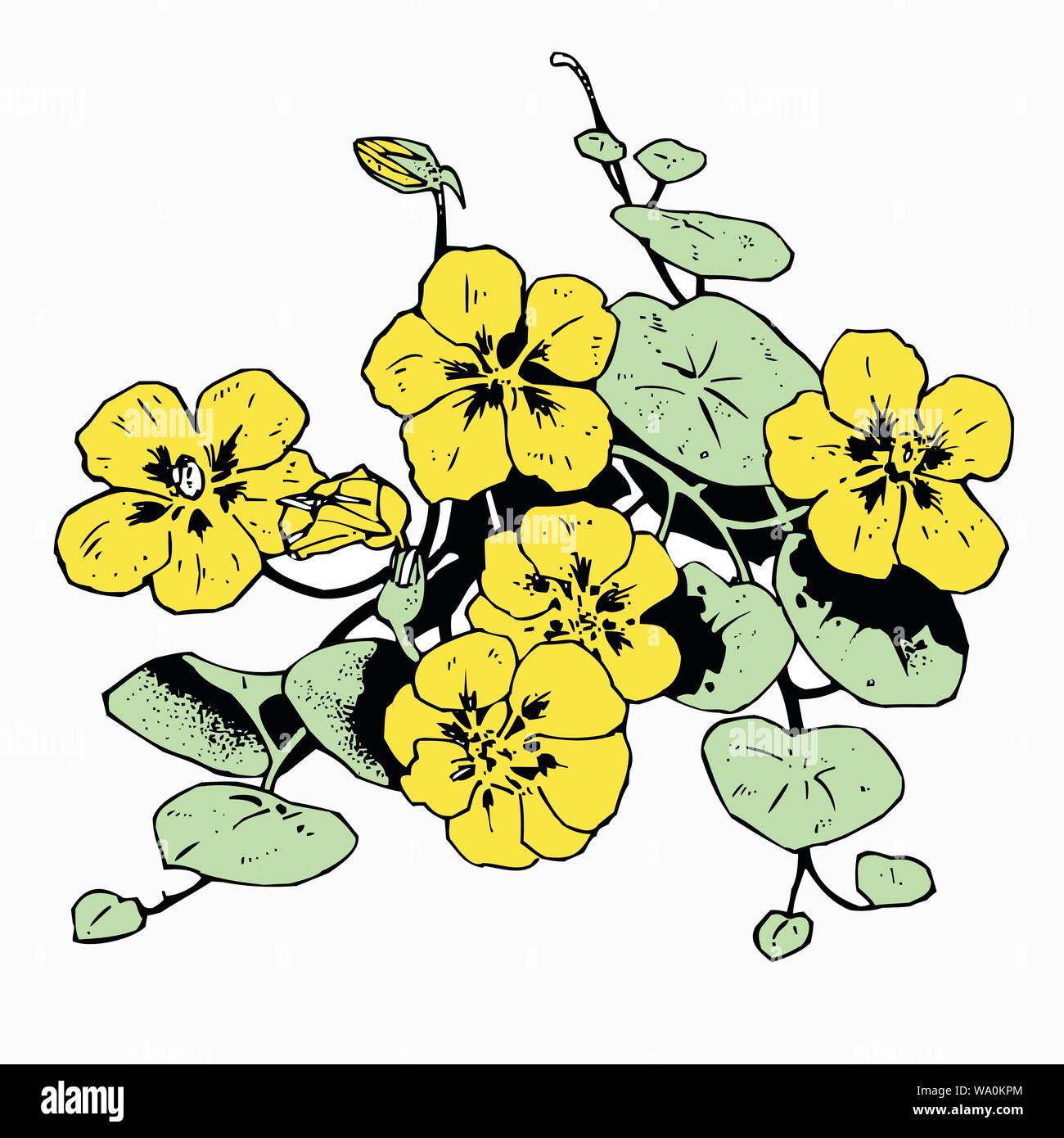 vector background of floral banners Stock Vector Image & Art - Alamy