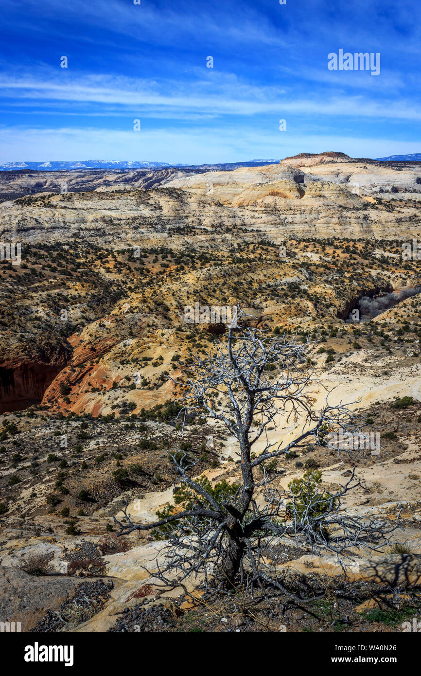 An imposing view of the terrain of Grand Staircase-Escalante National Monument, Utah, USA Stock Photo