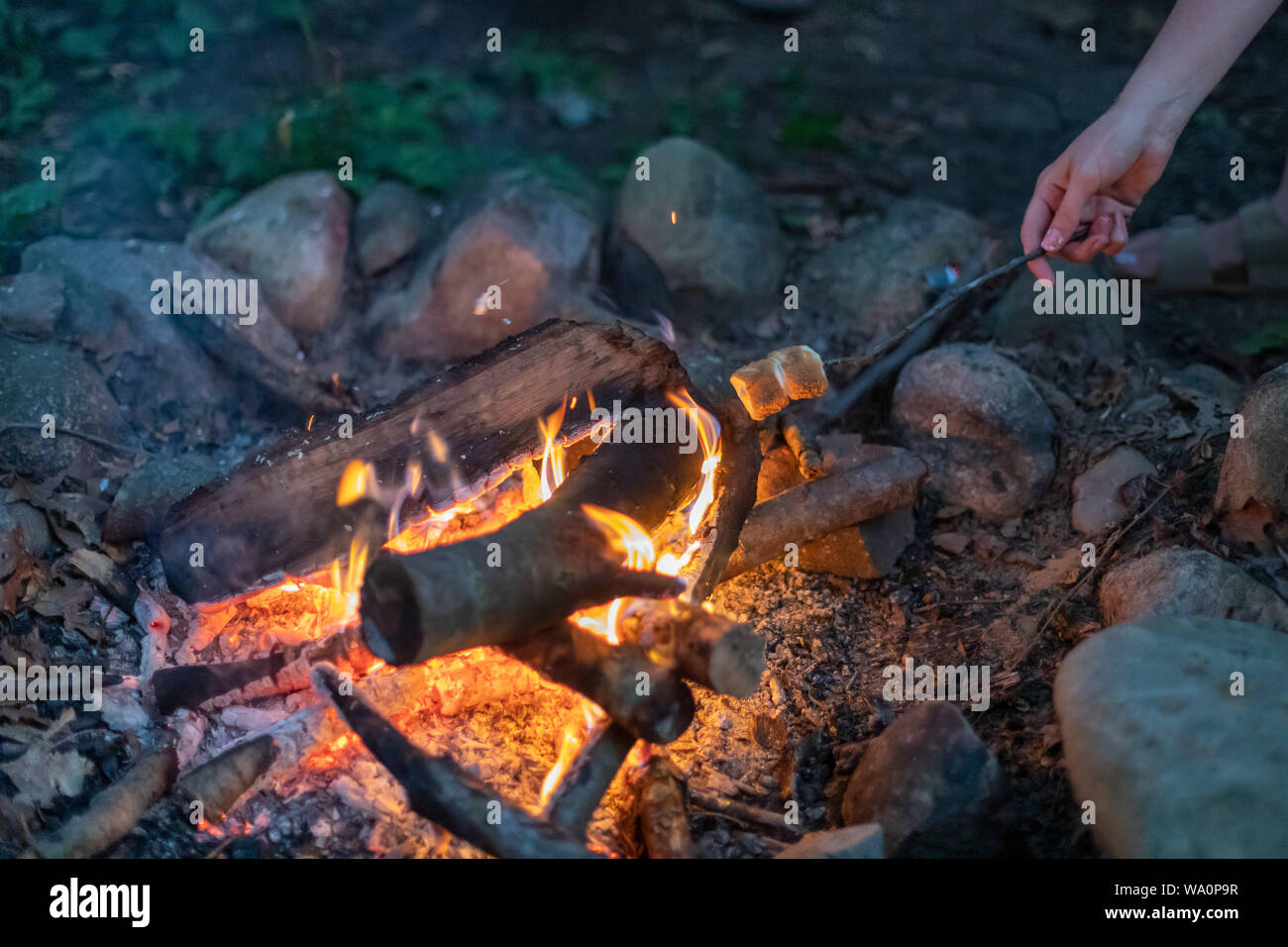 Prairieville, Michigan - Toasting marshmallows on a campfire. Stock Photo