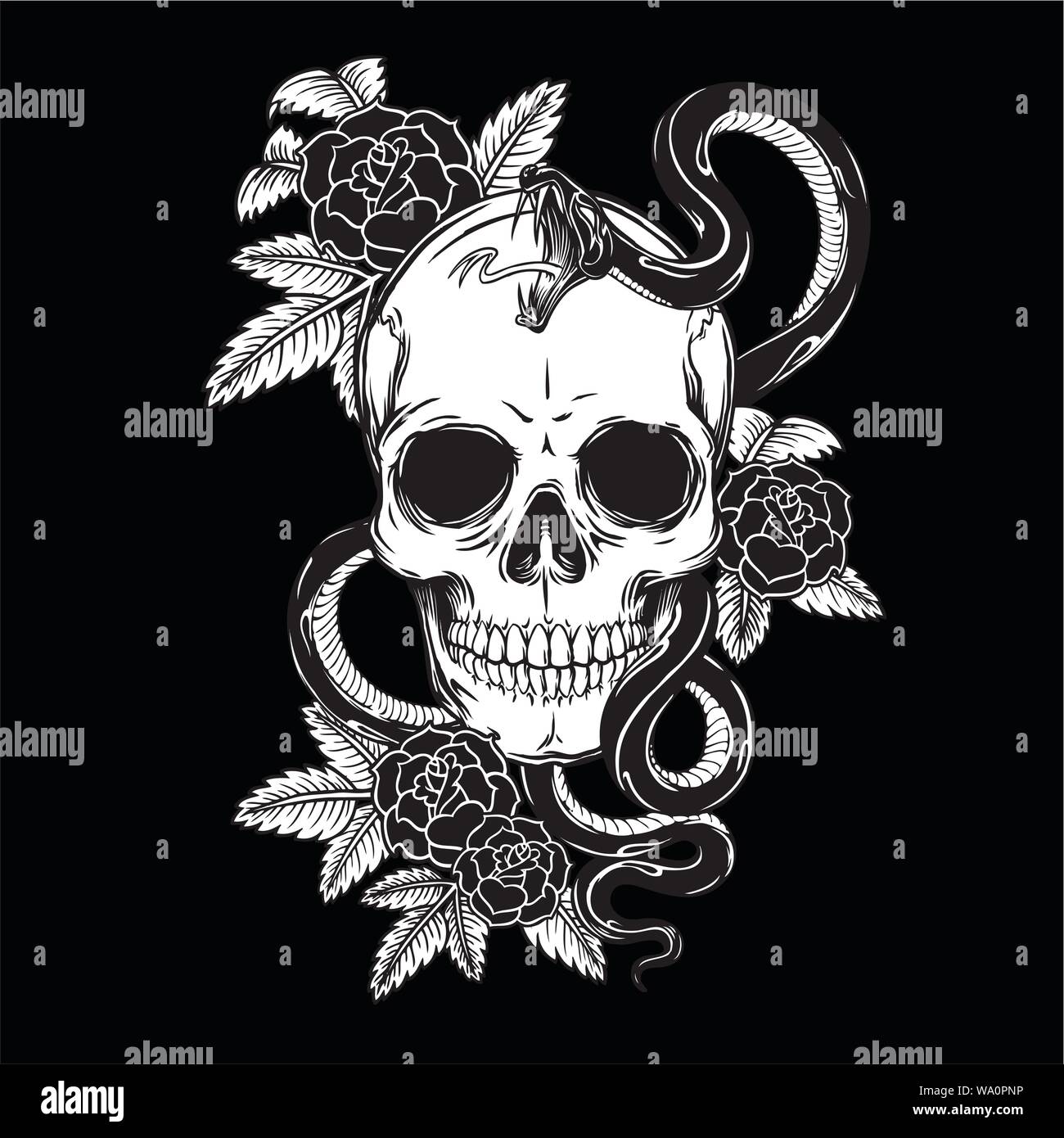 vector illustration of a skull for tattoo designs, logos and shirt ...