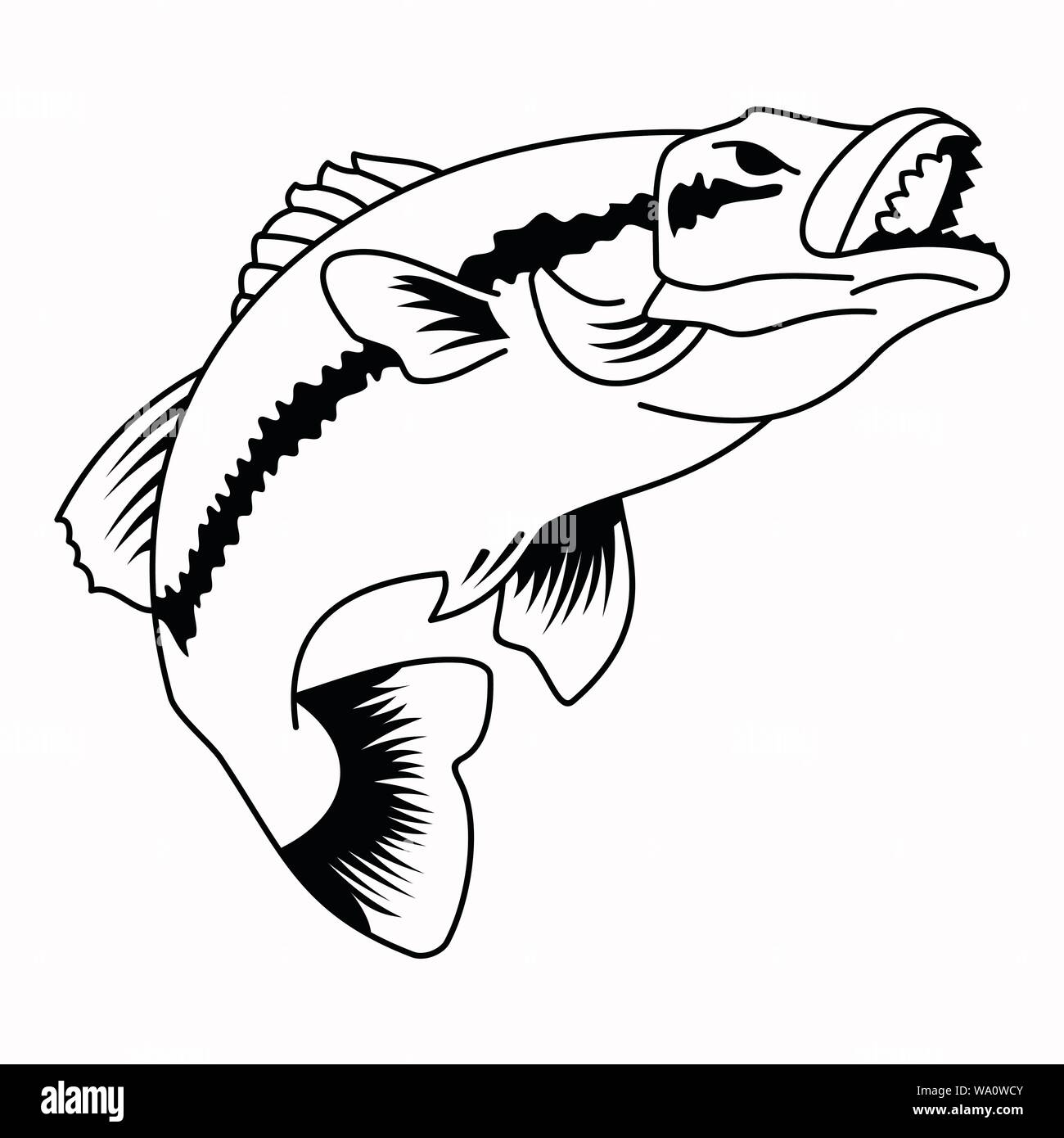 Fish pencil sketch Striped bass fishing Decal Bass Jumping s marine  Mammal mammal carnivoran png  PNGWing