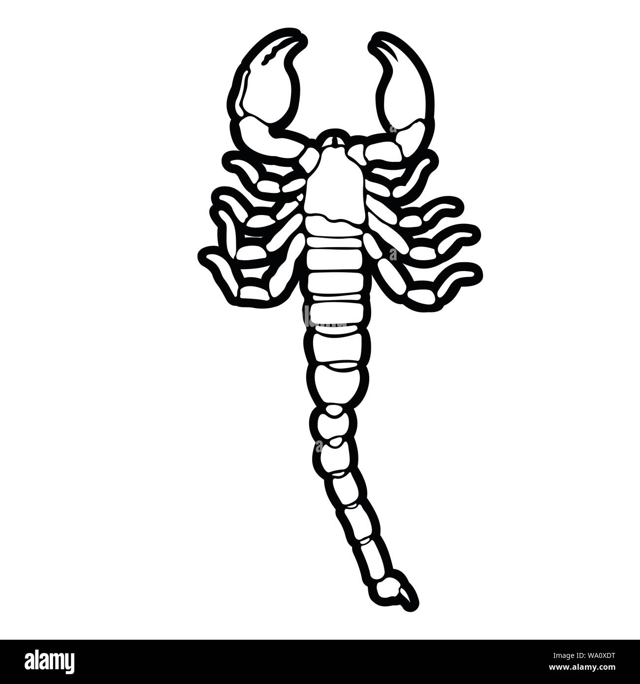 How to Draw a Scorpion  Tribal Tattoo Design Style  YouTube