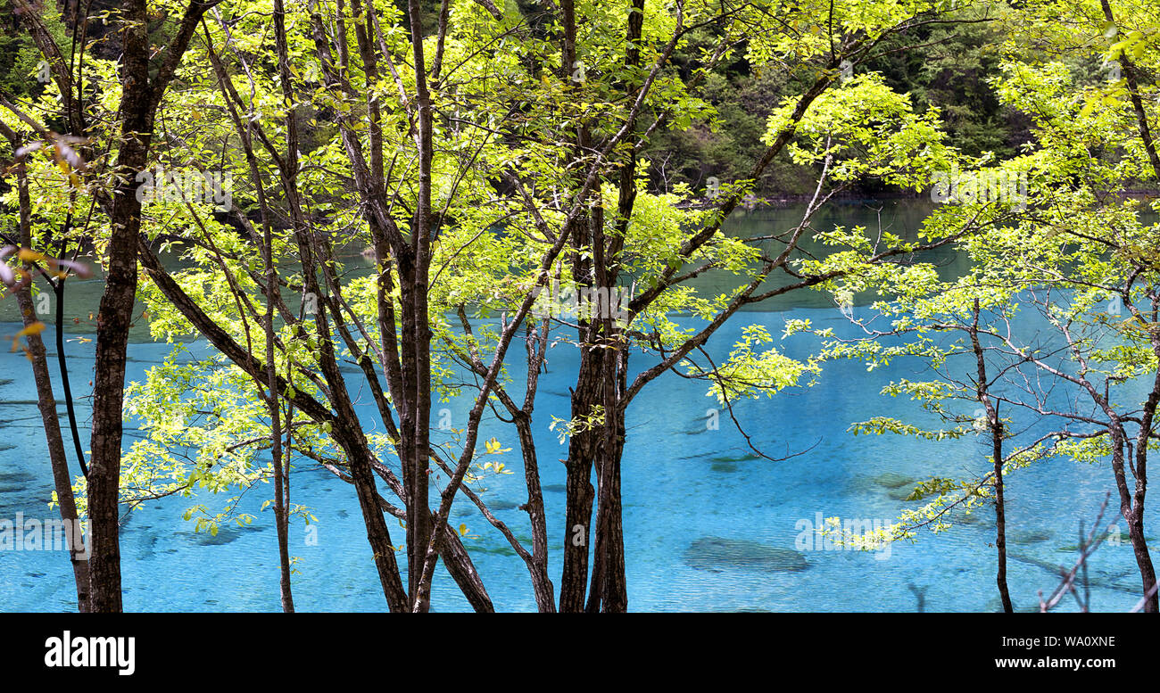 Jiuzhaigou in sichuan province Stock Photo