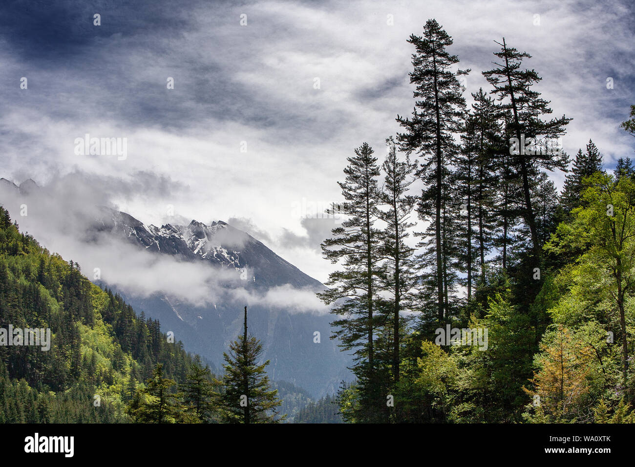 Jiuzhaigou in sichuan province Stock Photo