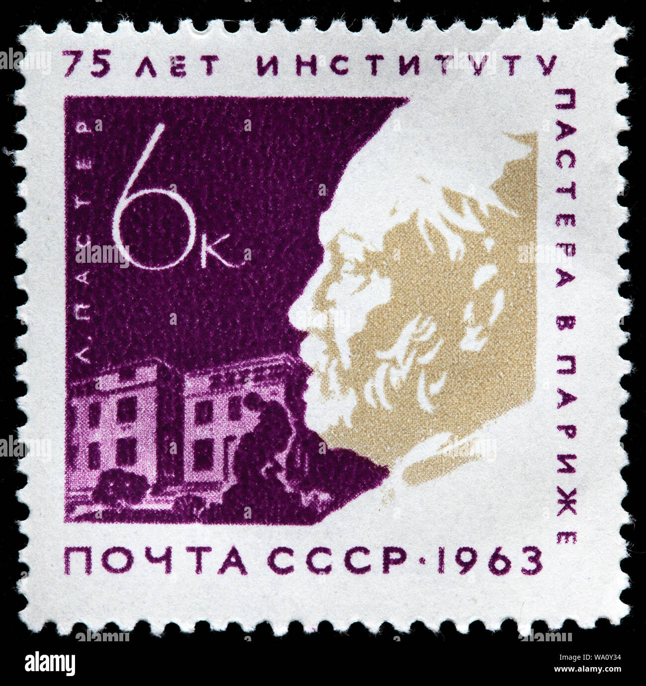 Louis Pasteur (1822-1895), French biologist, microbiologist, chemist, 75th Anniversary of Pasteur Institute in Paris, postage stamp, Russia, USSR, 196 Stock Photo