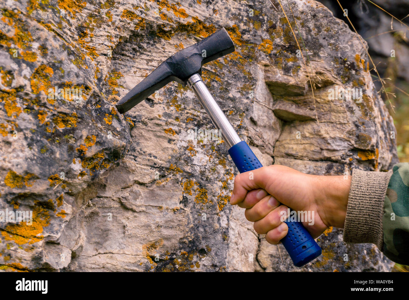 geologist's hand strikes a limestone mossy rock with a geological