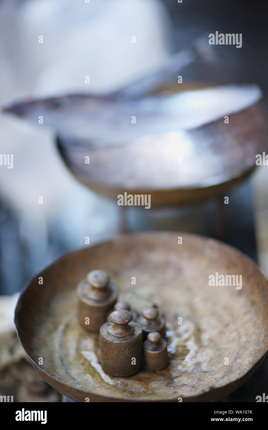 Weighing fresh fish in the fish market on a scale with a set of weights