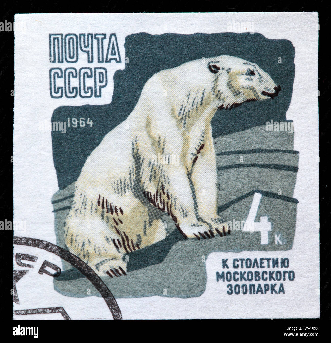 Polar bear ursus maritimus illustration hi-res stock photography 