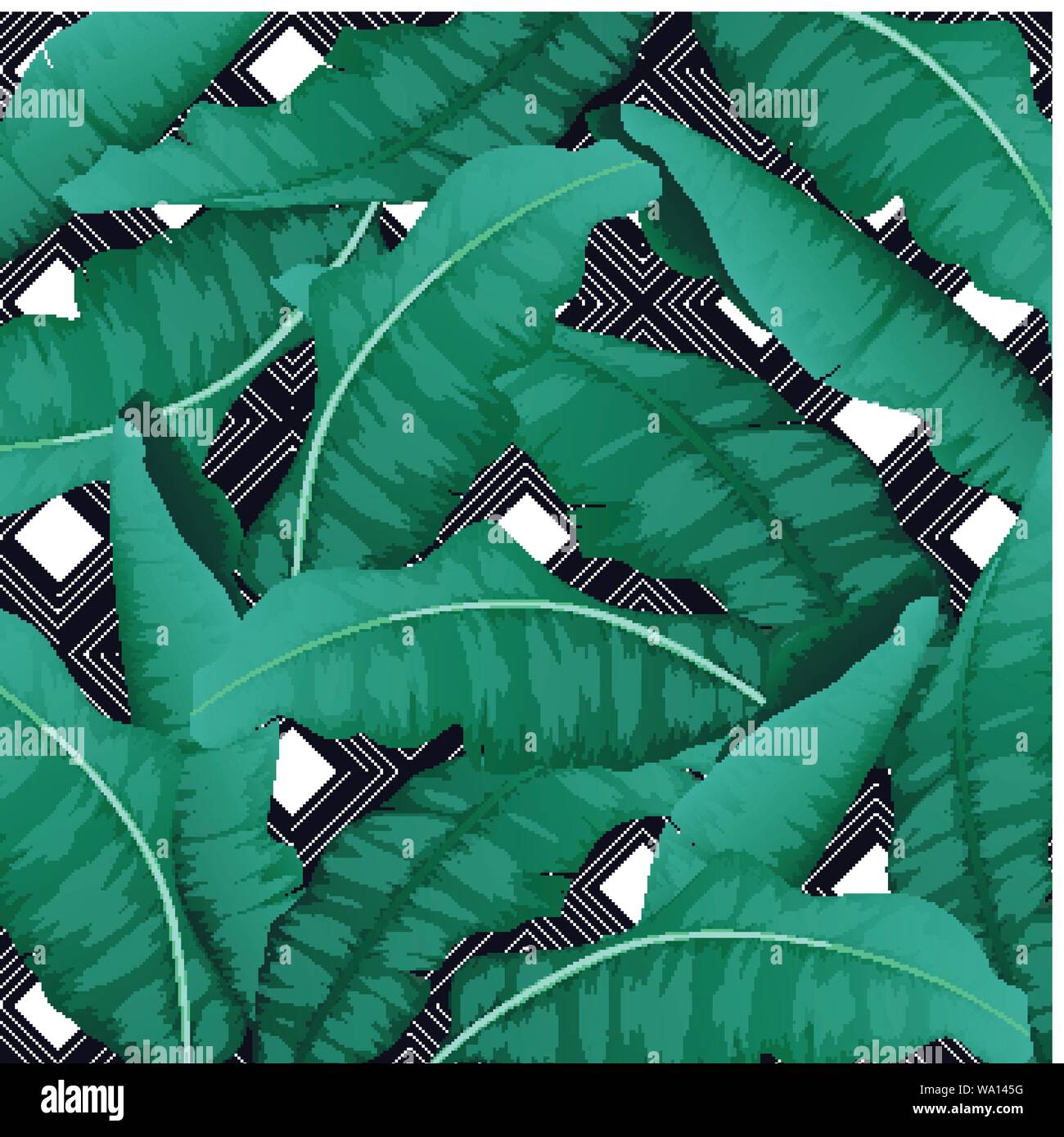 Set of tropical leaves. Banana leaves isolated green on striped
