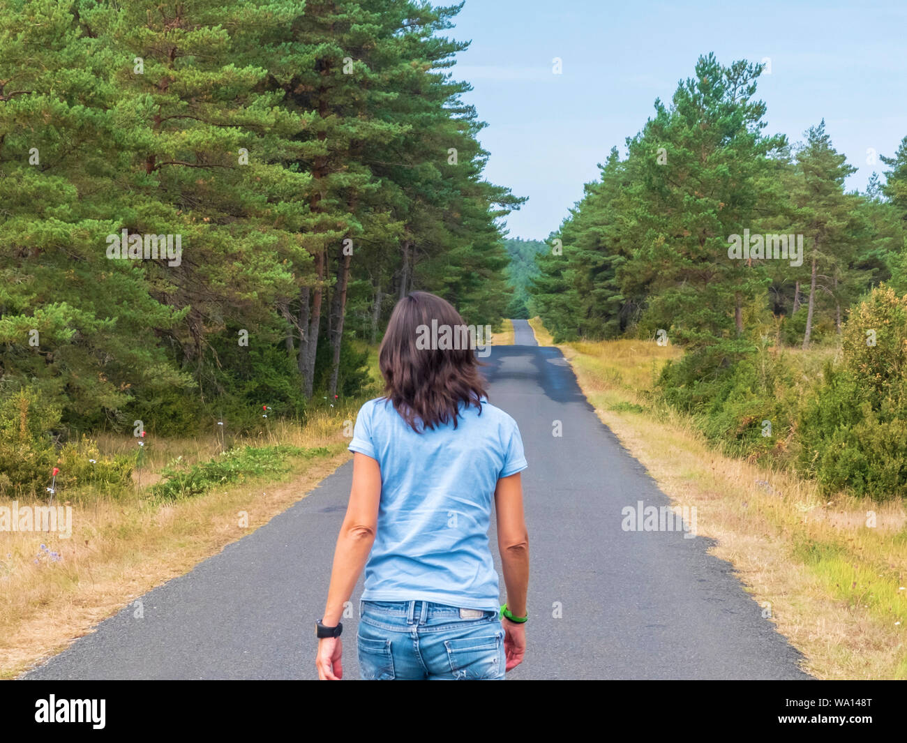 One Woman Back View Walking Woods Hi res Stock Photography And Images one-woman-back-view-walking-woods-hi-res-stock-photography-and-images