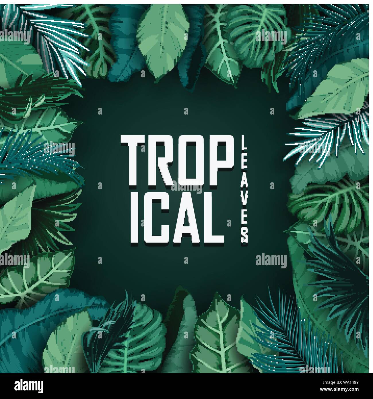 Tropical leaves isolated on black background Stock Vector Image & Art ...