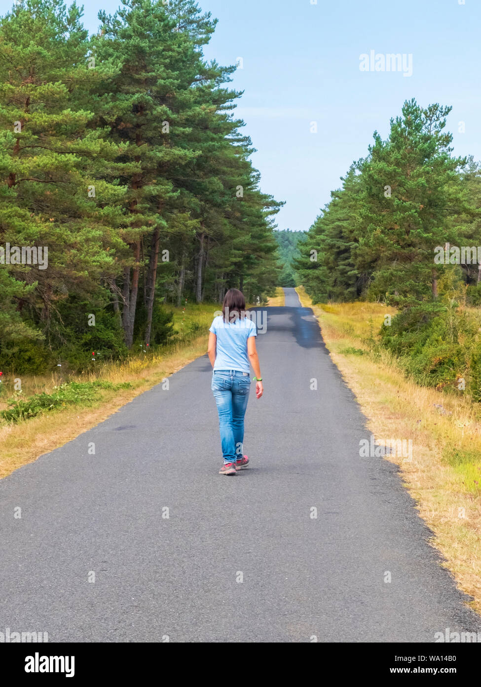 Rear view of a woman in jeans walking on road Stock Photo - Alamy