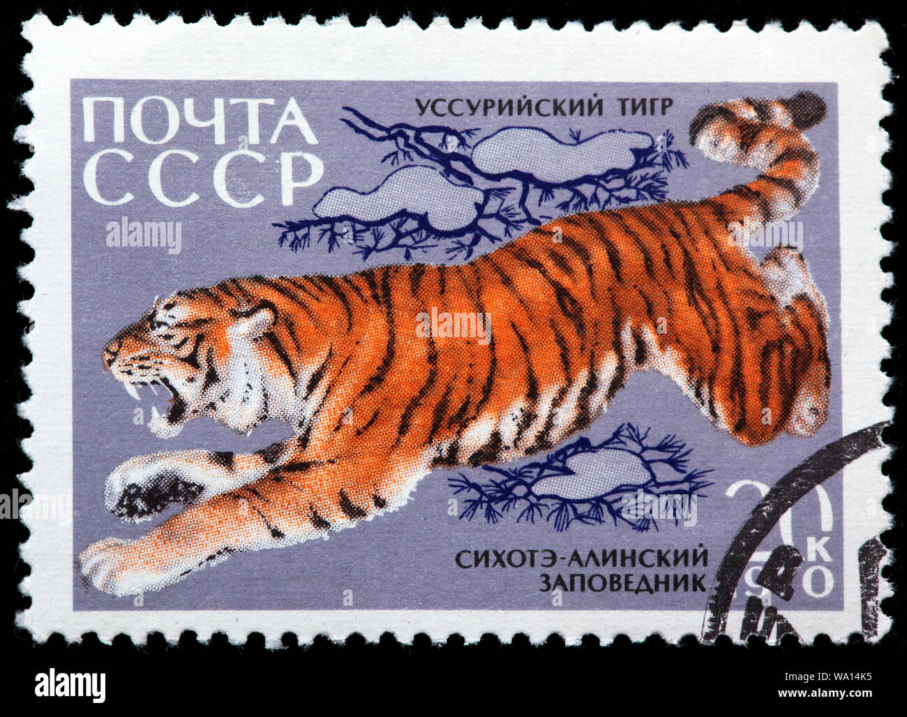 Siberian Tiger, Panthera tigris altaica, Fauna of Sikhote-Alin Nature Reserve, postage stamp, Russia, USSR, 1970 Stock Photo