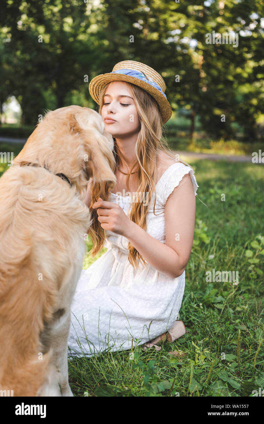 Golden retriever dress 2025