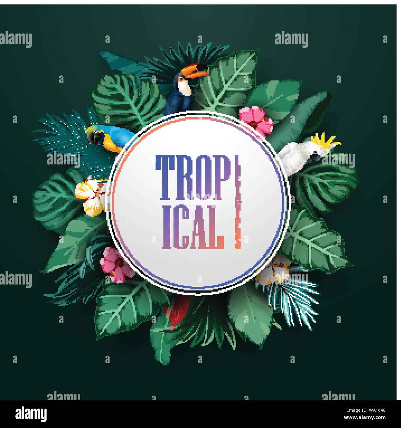 Birds collection and tropical plants background Stock Vector Image ...